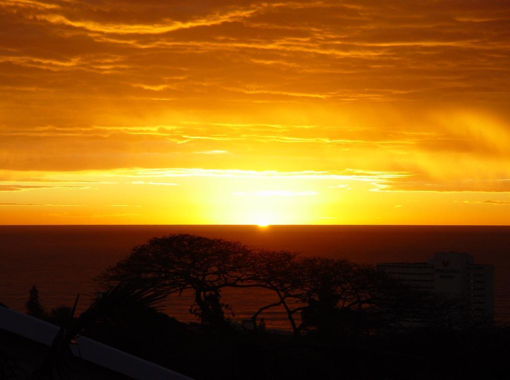 Umbrella Tree B&B Durban Exterior foto