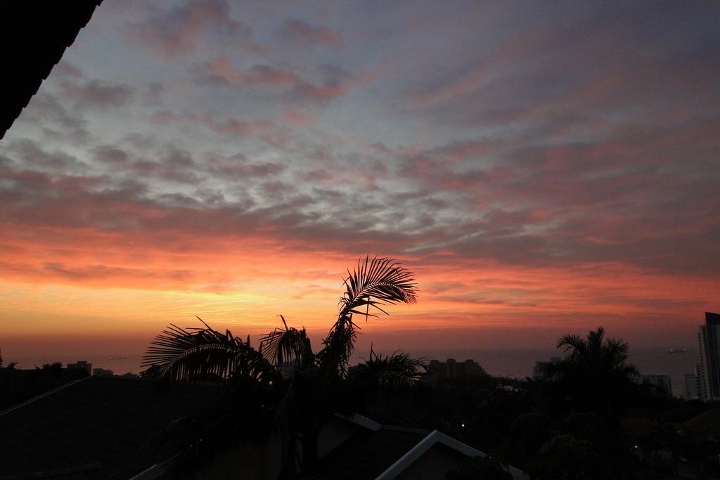 Umbrella Tree B&B Durban Exterior foto